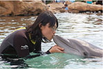 Discovery Cove – Kissing a Dolphin