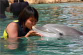 Kissing the dolphin