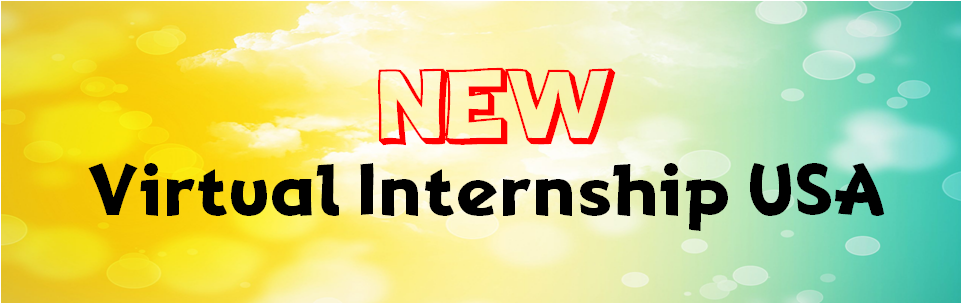 Virtual Internship USA